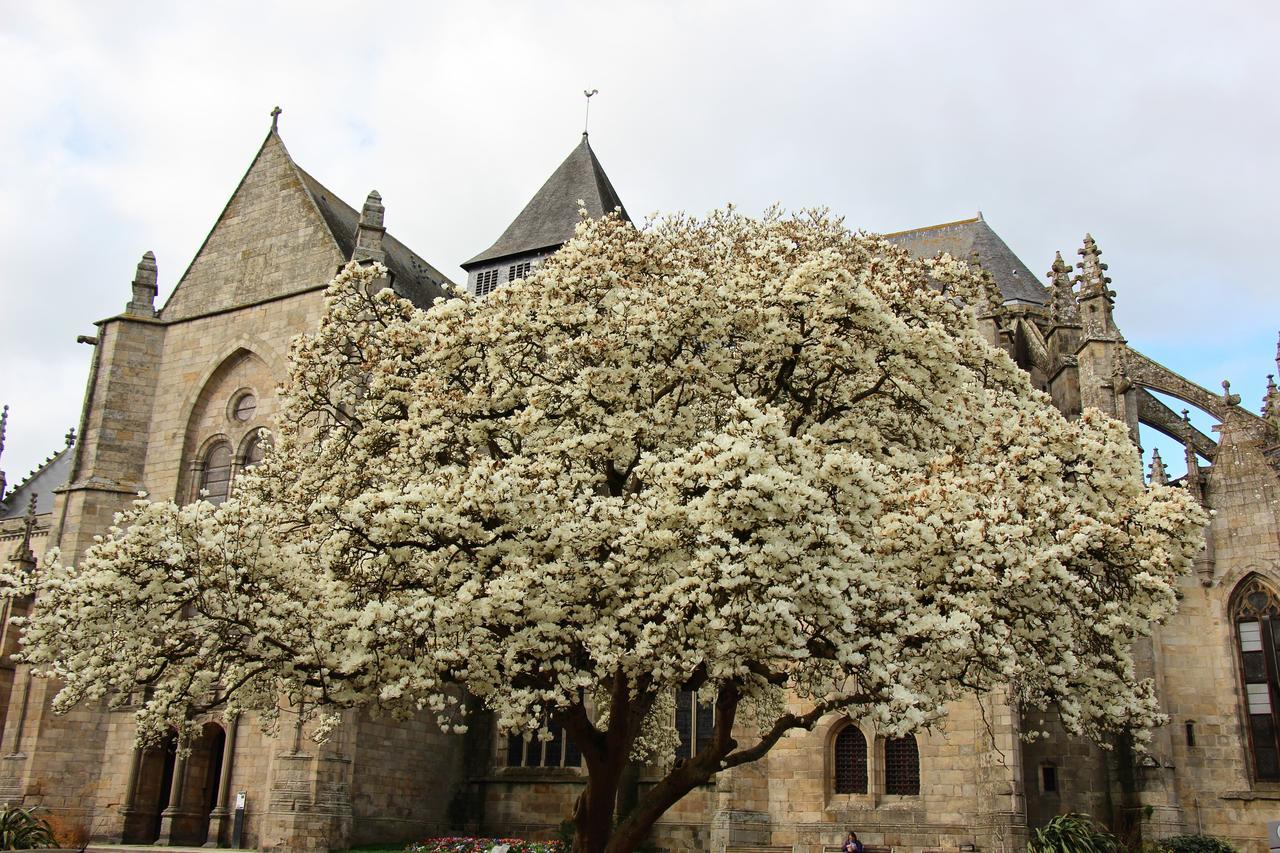 La Tocade Del Arte - Dinan Bed & Breakfast Lanvallay Dış mekan fotoğraf